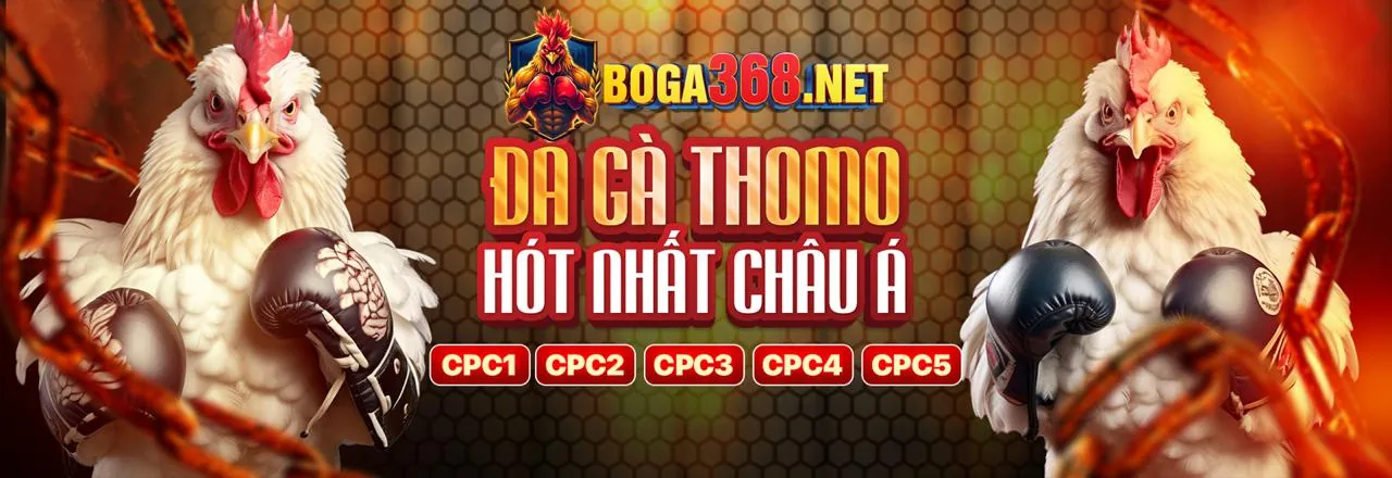 Quy tắc trò chơi công bằng Rongho99